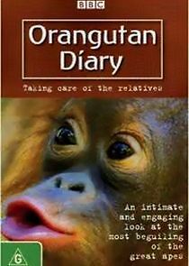 Watch Orangutan Diary