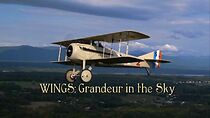 Watch Wings: Grandeur in the Sky (Short 2012)