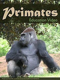 Watch Primats
