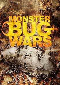 Watch Monster Bug Wars
