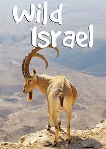 Watch Wild Israel
