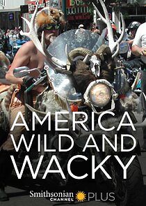Watch America: Wild & Wacky