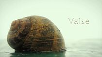 Watch Valse (Short 2013)