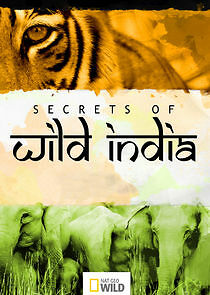 Watch Secrets of Wild India