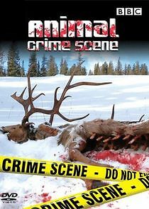 Watch Animal Crime Scene