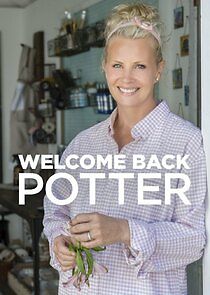 Watch Welcome Back Potter