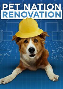 Watch Pet Nation Renovation