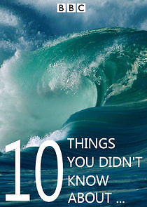 Watch 10 Things You Didn't Know About…