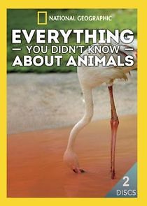 Watch Everything You Didn't Know About Animals