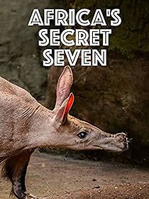 Watch Africa's Secret Seven