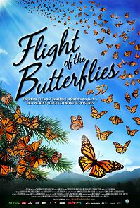 Watch Flight of the Butterflies (Short 2012)