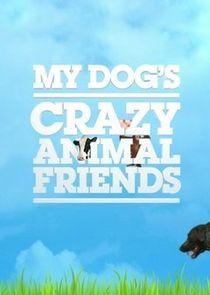 Watch My Dog's Crazy Animal Friends
