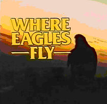 Watch Where Eagles Fly
