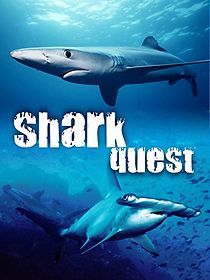 Watch Shark Quest