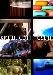 Watch Kill It, Cut It, Use It
