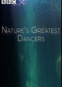 Watch Nature's Greatest Dancers