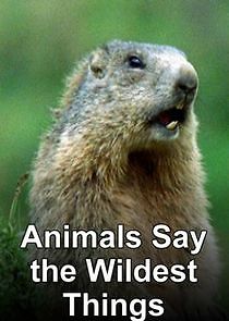 Watch Animals Say the Wildest Things