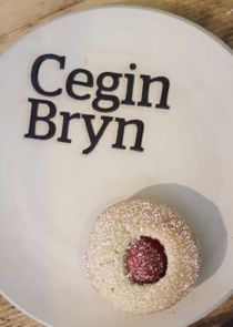 Watch Cegin Bryn