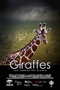 Watch Giraffes: The Forgotten Giants