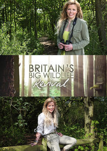 Watch Britain's Big Wildlife Revival