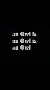 Watch An Owl Is an Owl Is an Owl