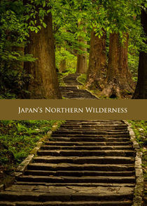 Watch Japan's Northern Wilderness