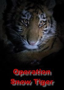 Watch Operation Snow Tiger