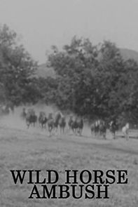 Watch Wild Horse Ambush