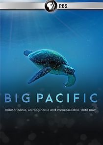 Watch Big Pacific