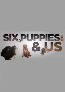 Watch Six Puppies and Us