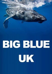 Watch Big Blue UK