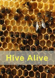 Watch Hive Alive