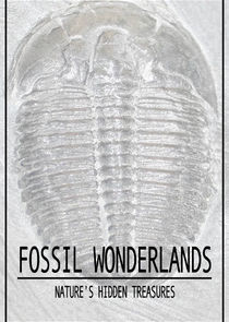 Watch Fossil Wonderlands: Nature's Hidden Treasures