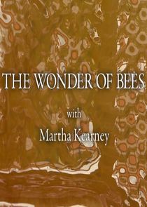 Watch The Wonder of Bees with Martha Kearney