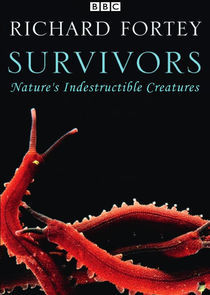 Watch Survivors: Nature's Indestructible Creatures