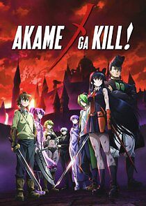 Watch Akame Ga Kill!