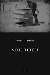 Watch Stop Thief!