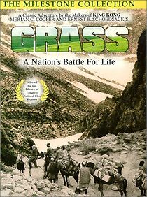 Watch Grass: A Nation's Battle for Life