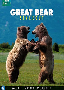 Watch Great Bear Stakeout