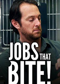 Watch Jobs That Bite!