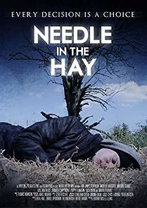 Watch Needle in the Hay