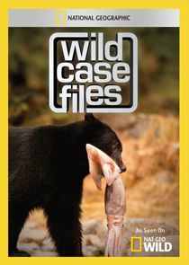 Watch Wild Case Files