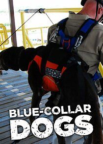 Watch Blue-Collar Dogs