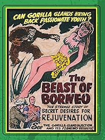 Watch The Beast of Borneo