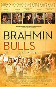 Watch Brahmin Bulls