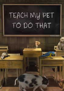 Watch Teach My Pet to Do That