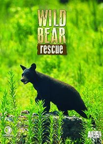 Watch Wild Bear Rescue