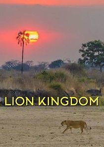 Watch Lion Kingdom