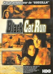 Watch Black Cat Run