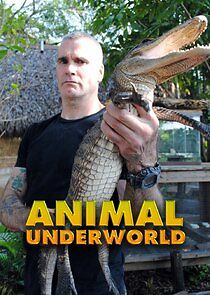 Watch Animal Underworld